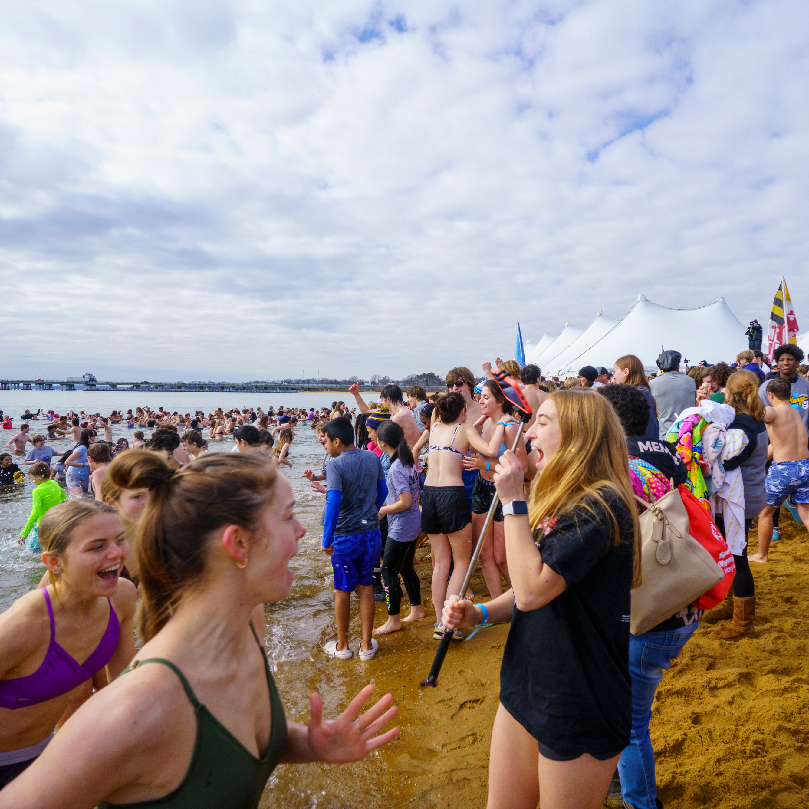 Polar Bear Plunge